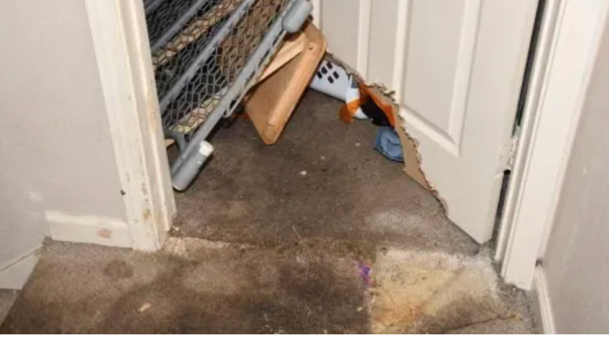 A toddler and teenager were allegedly left alone by their babysitter an attacked by her dogs. These are the stairs inside the home of babysitter Heather Rodriguez.